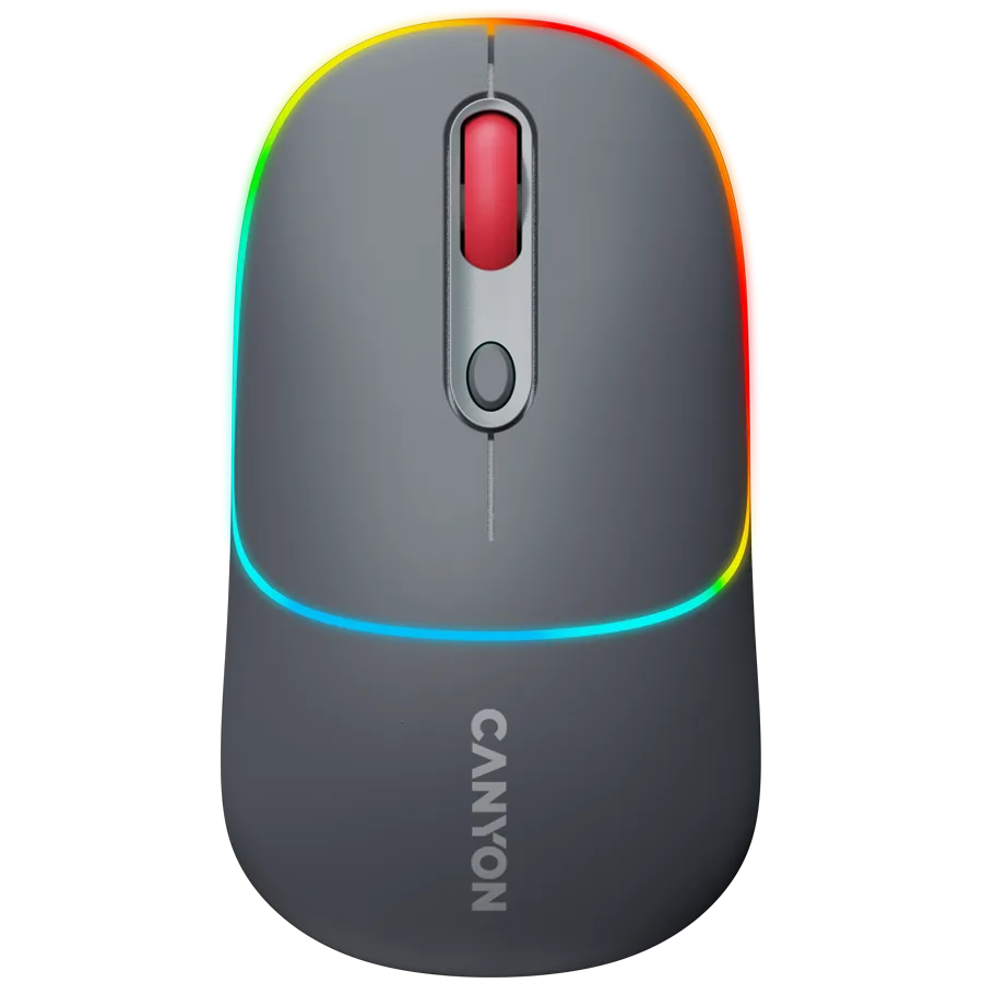CANYON mouse MW-22 2in1 BT/ Wireless Dark Grey