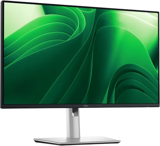 Dell Pro 24 Plus QHD - P2425DE